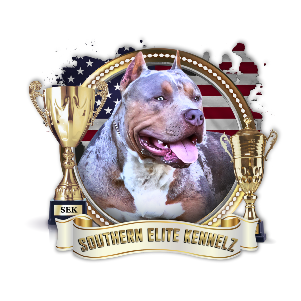 Southern Elite Kennelz - SEK. World renowned XL Pitbull and XL American Bully breeders and Bullies for sale.