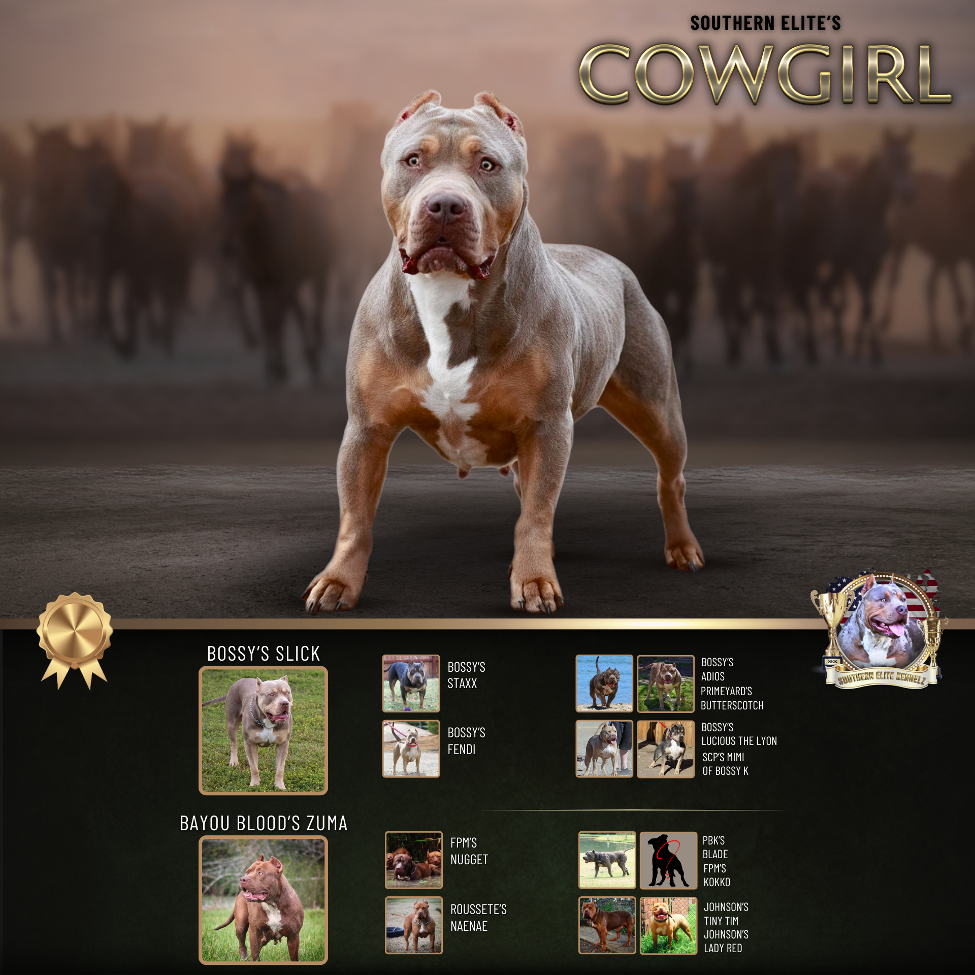 Copy of Southern Elite's Cowgirl lilac tri Xl Bully female health tested