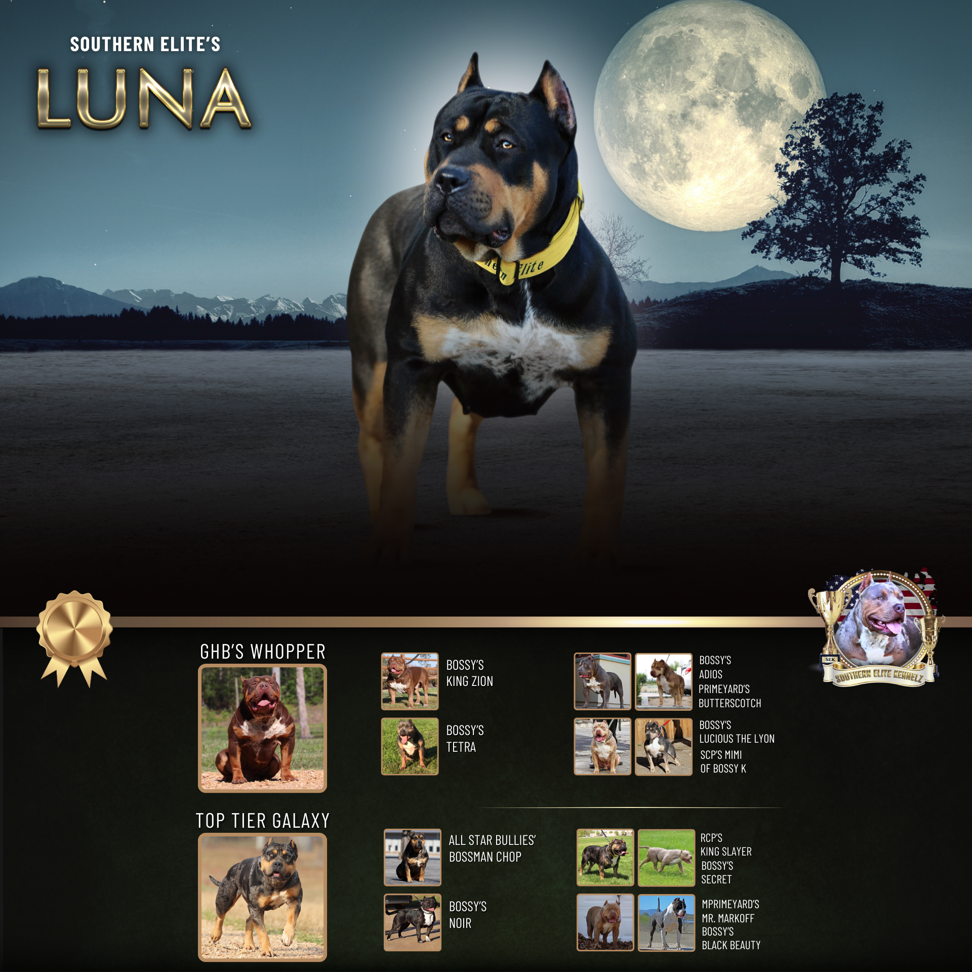 Southern Elite's Luna ticked black tri Xl Bully female health tested
