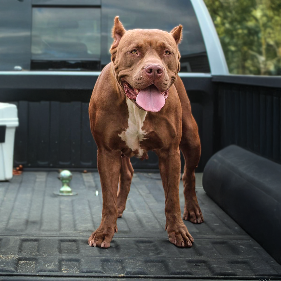 Read more about the article BBK’s Zuma of SEK